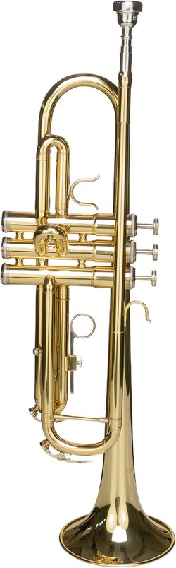 Cascha EH 3820