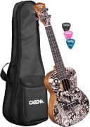 Cascha HH 2605