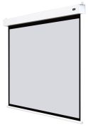 celexon Batterie Leinwand Motor Professional Plus 280 x 210 cm