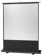 celexon Ultramobil Plus Professional 160 x 160 cm