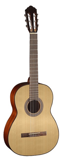 Cort AC100