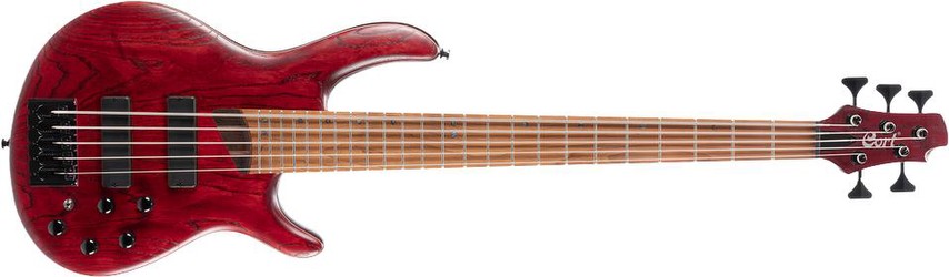 Cort B5 Element Cort B5 Element