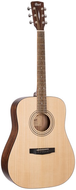 Cort Earth 60