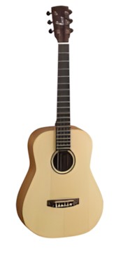 Cort Earth Mini