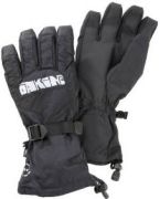Dakine Element
