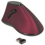 Delock Kabellose ergonomische vertikal optische Maus (12528) Delock Kabellose ergonomische vertikal optische Maus (12528)