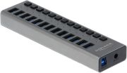 Delock Externer SuperSpeed USB Hub mit 13 Ports und Schalter (63738)