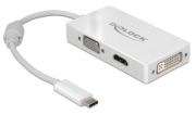 Delock USB-C auf VGA-HDMI-DVI-DisplayPort Adapter (63924)