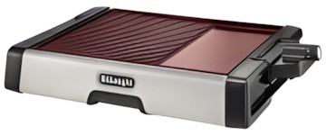 Delonghi BG 500