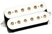 DiMarzio DP252