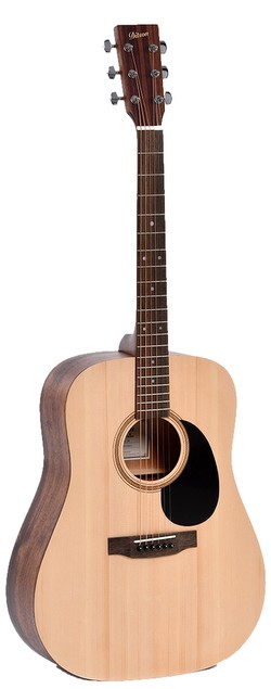 Ditson D-10
