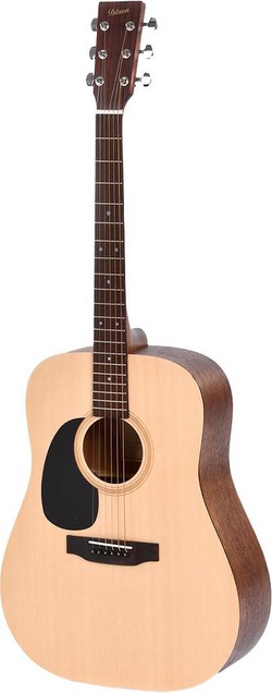 Ditson D-10L