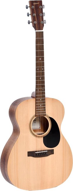 Ditson G-10 Ditson G-10