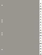 Durable 6401 Kunststoffregister