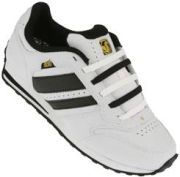 DVS Premier