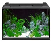 Eheim aquaproLED 84
