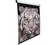 Elite Screens M119XWS1