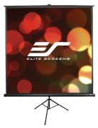Elite Screens T119UWS1