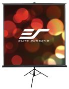 Elite Screens T120UWH