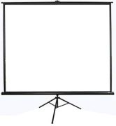 Elite Screens T71NWS1