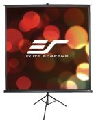 Elite Screens T71UWS1
