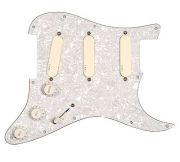 EMG DG20