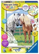 Ravensburger Malen nach Zahlen Glückliche Pferde (28566)