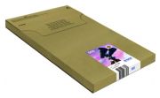 Epson 502 (C13T02V64510)