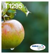 Epson T1295 (C13T12954022)