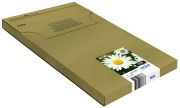 Epson T1816 (C13T18164511)