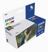 Epson T008401