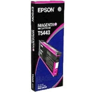 Epson T544300