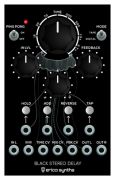 Erica Synths Black Stereo Delay