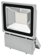Eurolite LED IP FL-100 6400K