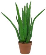 Europalms Aloe-Vera-Pflanze 63 cm
