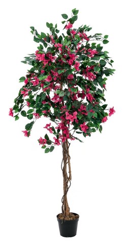 Europalms Bougainvillea magenta 180 cm