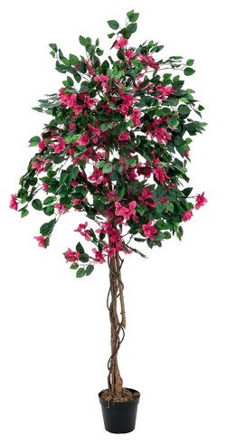 Europalms Bougainvillea rot 150 cm