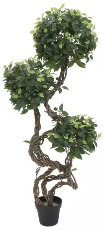 Europalms Ficus Multi Spiralstamm 160 cm