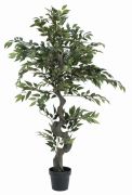 Europalms Ficus Waldbaum 110 cm