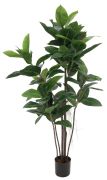 Europalms Gummibaum 120 cm