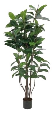 Europalms Gummibaum 150 cm