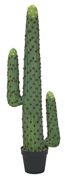 Europalms Mexikanischer Kaktus 117 cm