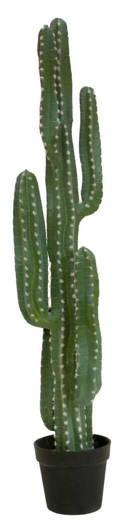 Europalms Mexikanischer Kaktus 123 cm Europalms Mexikanischer Kaktus 123 cm
