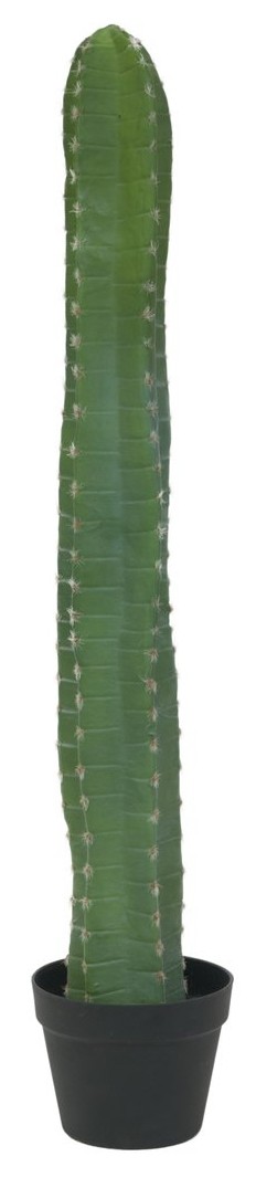 Europalms Mexikanischer Kaktus 97 cm Europalms Mexikanischer Kaktus 97 cm