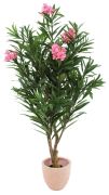 Europalms Oleanderbaum 150 cm
