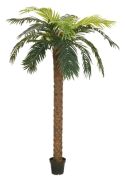 Europalms Phönix Palme deluxe 300 cm Europalms Phönix Palme deluxe 300 cm