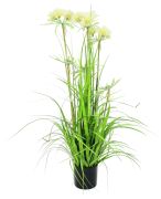 Europalms Sterngras 120 cm