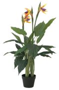 Europalms Strelizie 90 cm Europalms Strelizie 90 cm