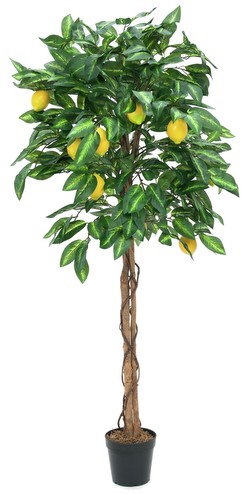 Europalms Zitronenbaum 180 cm