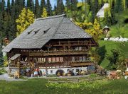 Faller Schwarzwald-Hof 232258